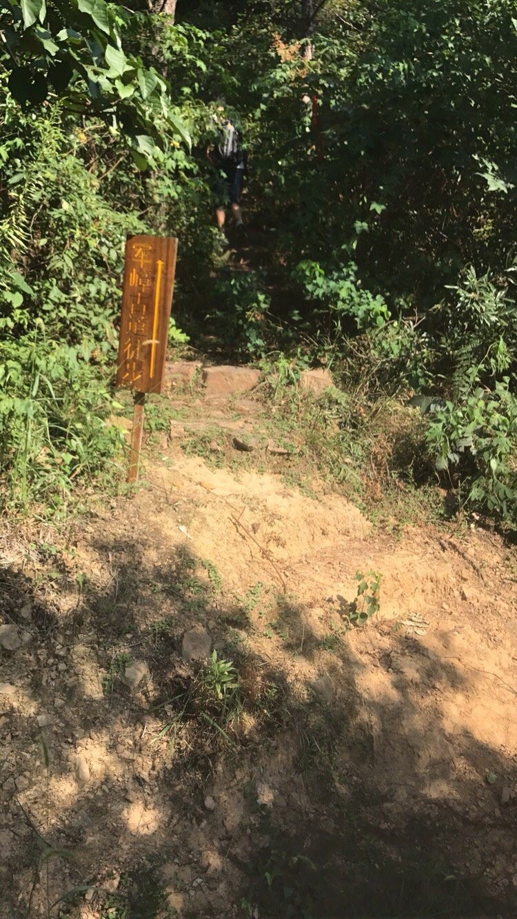 午夜福利视频在线播放廠家軍嶂古道