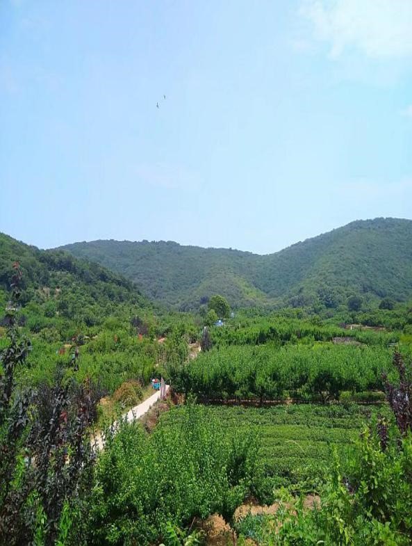 午夜福利视频在线播放廠家軍嶂古道